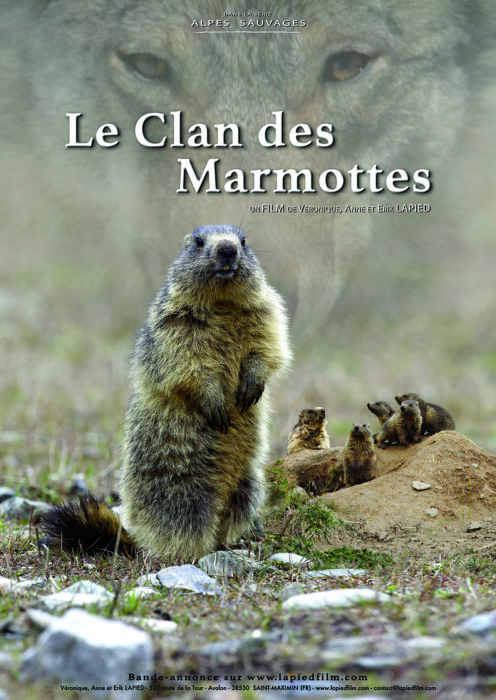 Le clan des marmottes – 20h