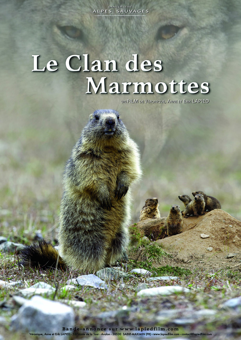 Le clan des marmottes – 20h