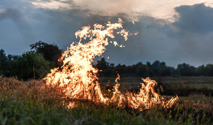 Feux d’artifice et pétards interdits