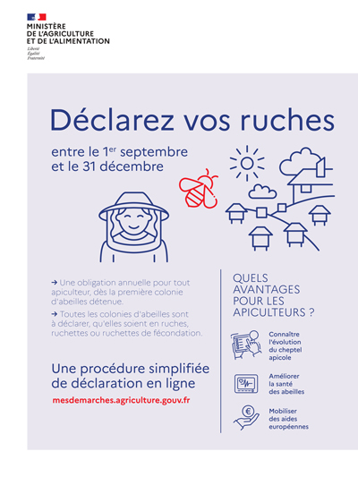 Campagne de déclaration des ruches 2022
