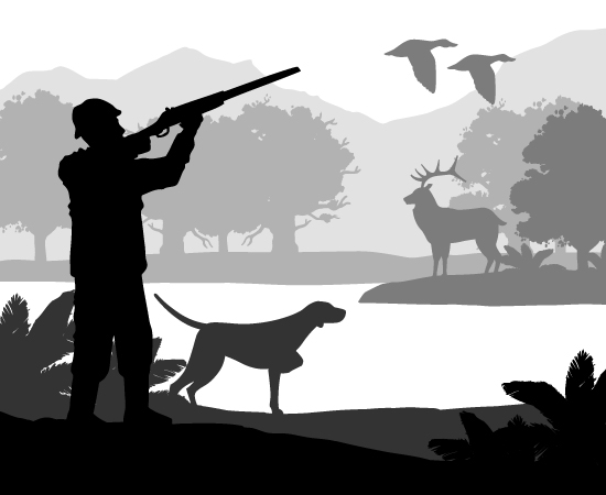 Fermeture et ouverture de la chasse