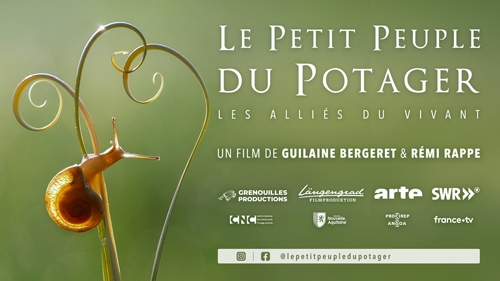 Projection du film documentaire – Le petit peuple du potager