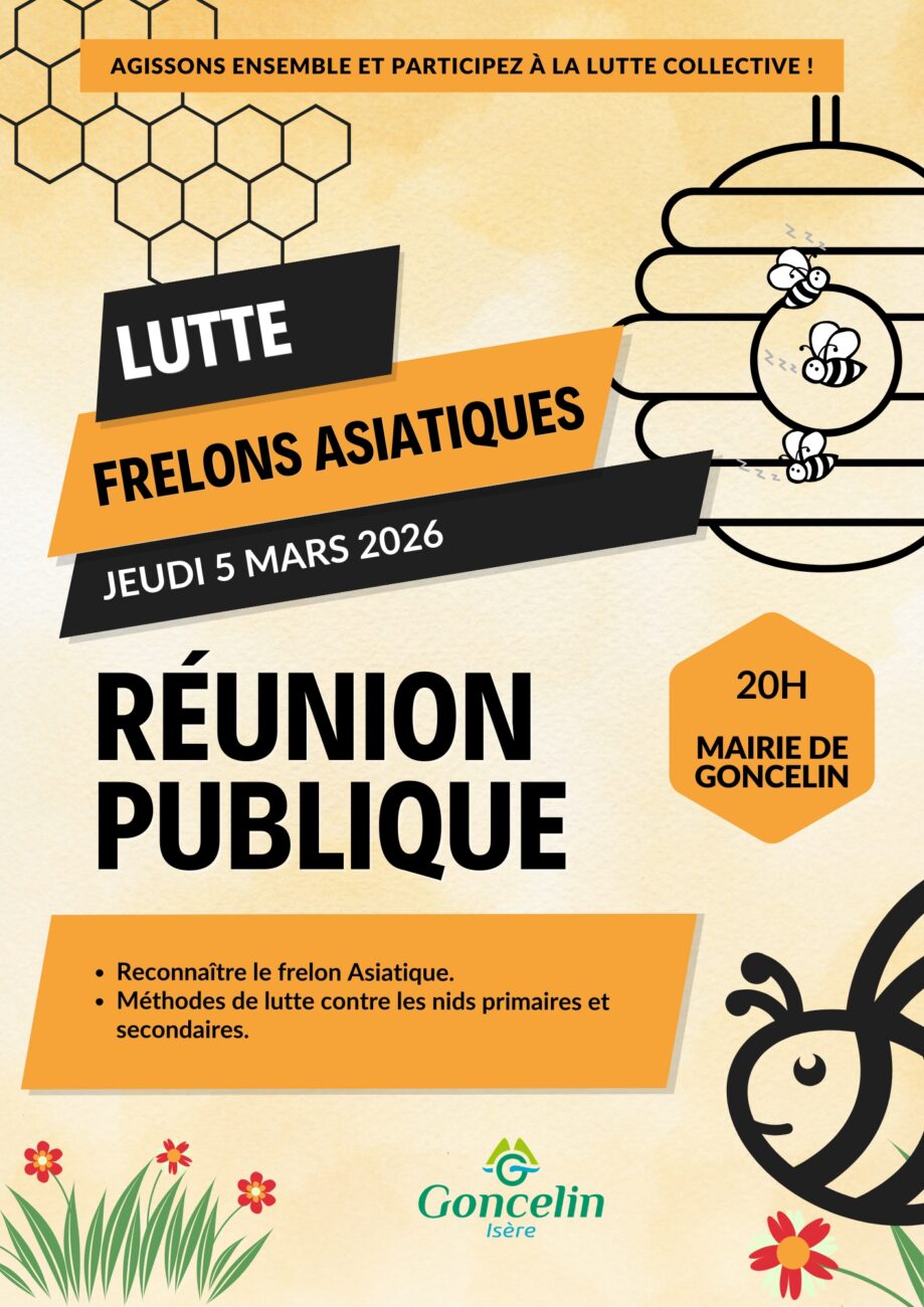 Réunion publique concernant le frelon asiatique