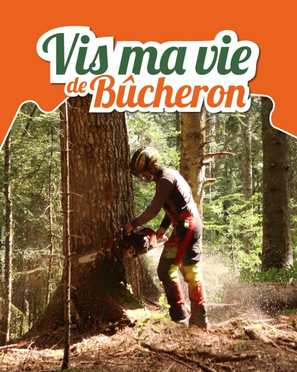 Vis ma vie de bucherons